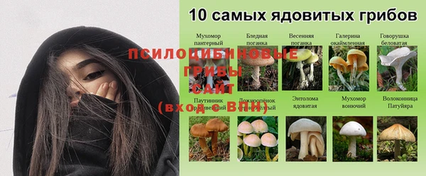 ПСИЛОЦИБИНОВЫЕ ГРИБЫ Алексин